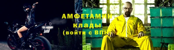 крисы Корсаков
