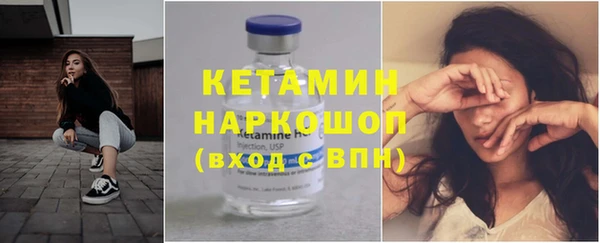 крисы Корсаков