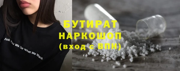 крисы Корсаков