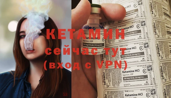 крисы Корсаков