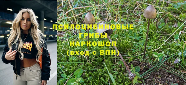 прущие крисы Красноперекопск