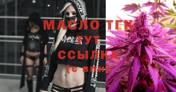 крисы Корсаков