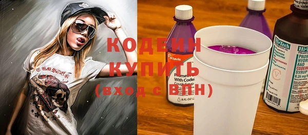 крисы Корсаков