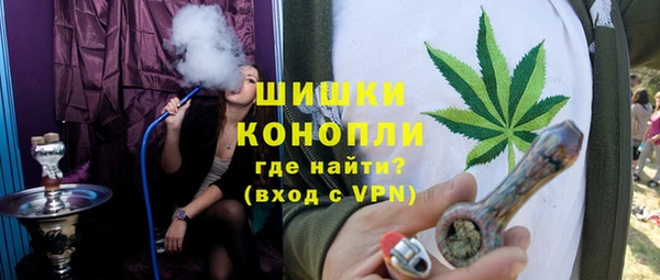 стаф Костерёво