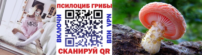 shop наркотические препараты  Кологрив  Галлюциногенные грибы Cubensis 